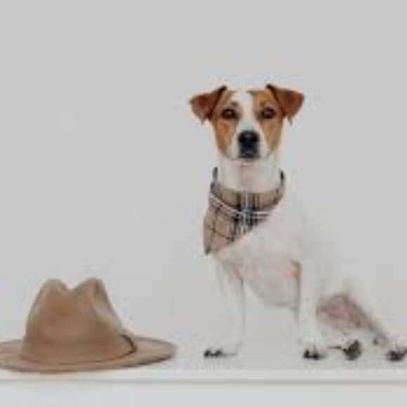 K15 Blue Kerchief, head cover,  so versatile Set of 2 Bandanas 21" x 21" - Picture 10 of 11